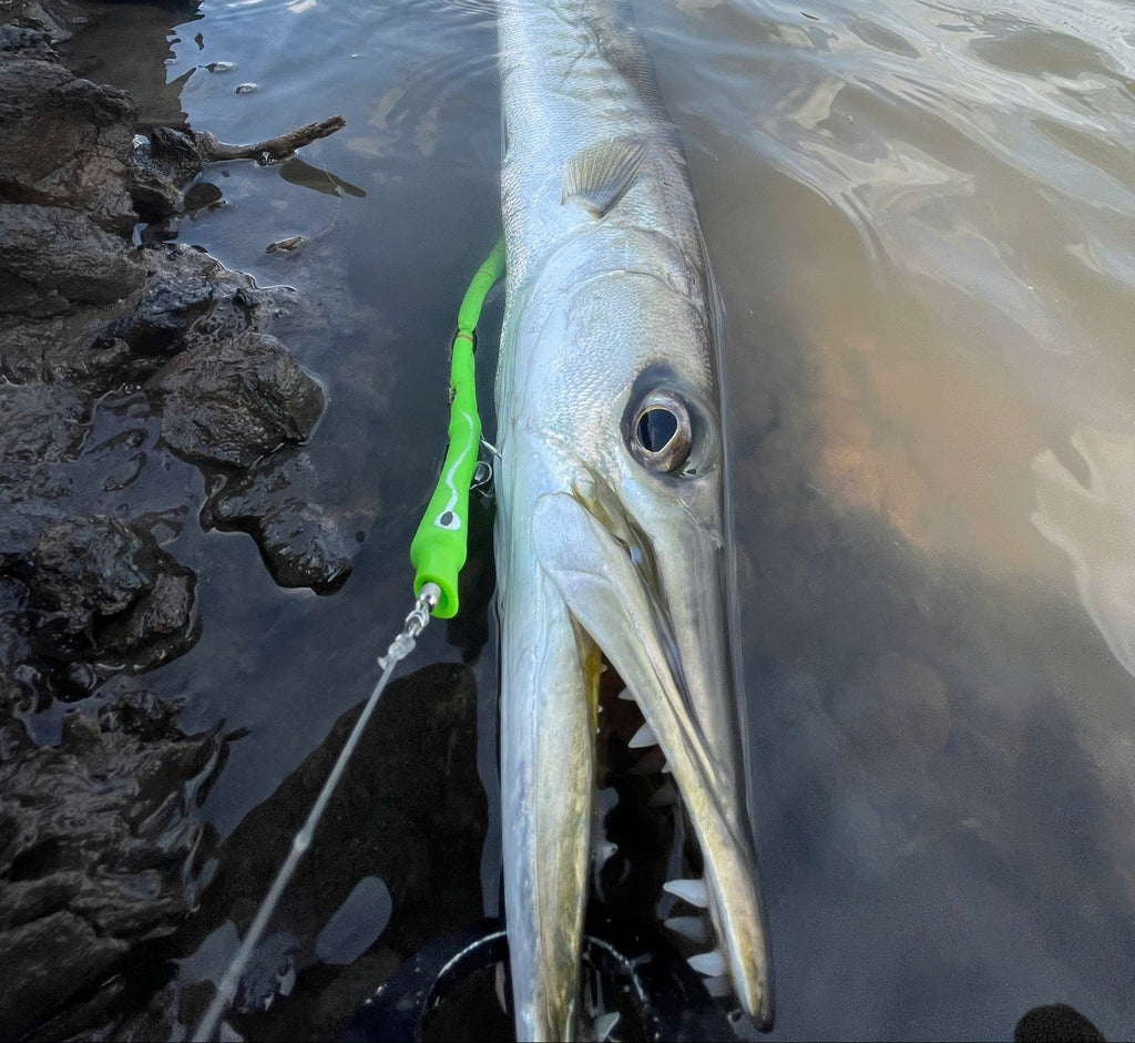 Barracuda Lure Bait handmade made in vietnam