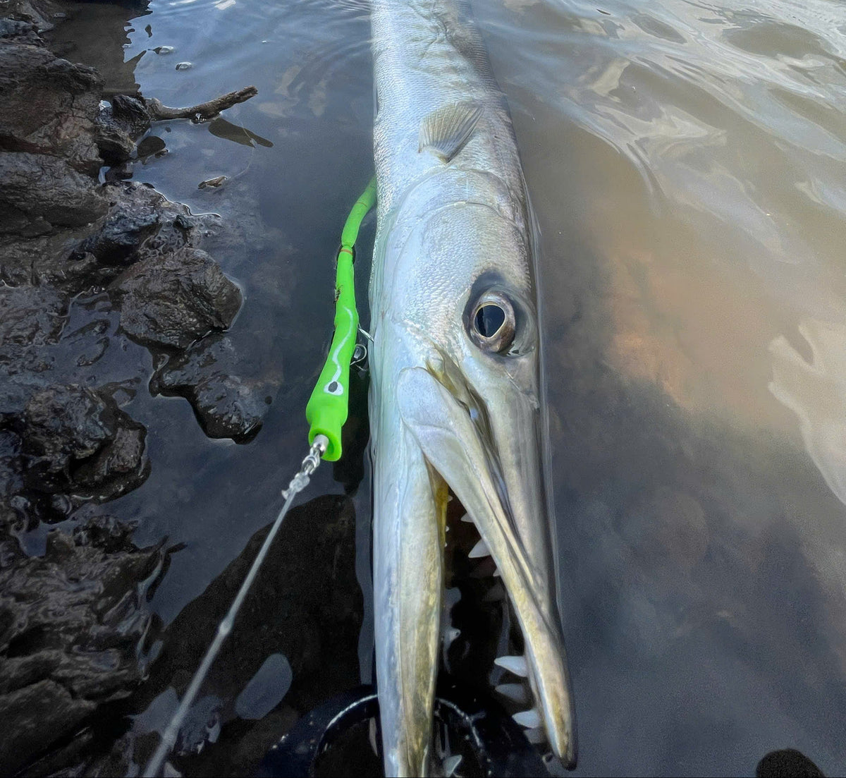 Barracuda Lure Bait handmade made in vietnam