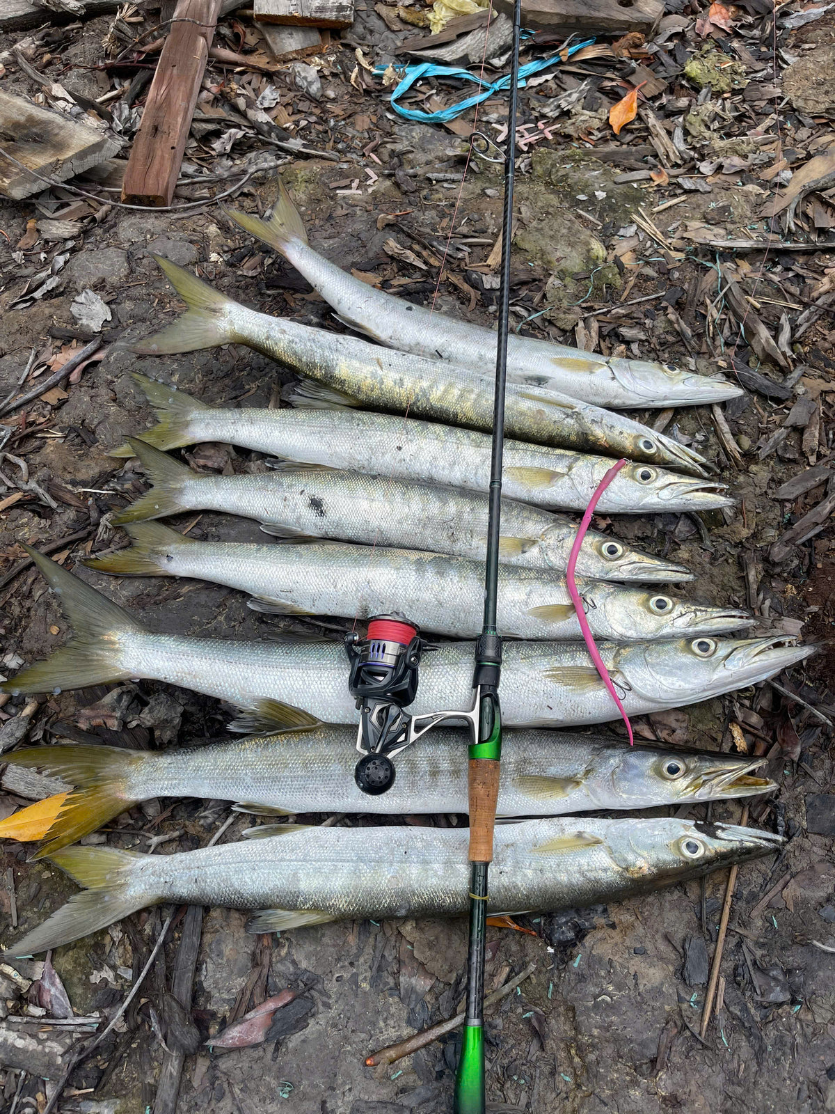 Barracuda Lure Bait handmade made in vietnam