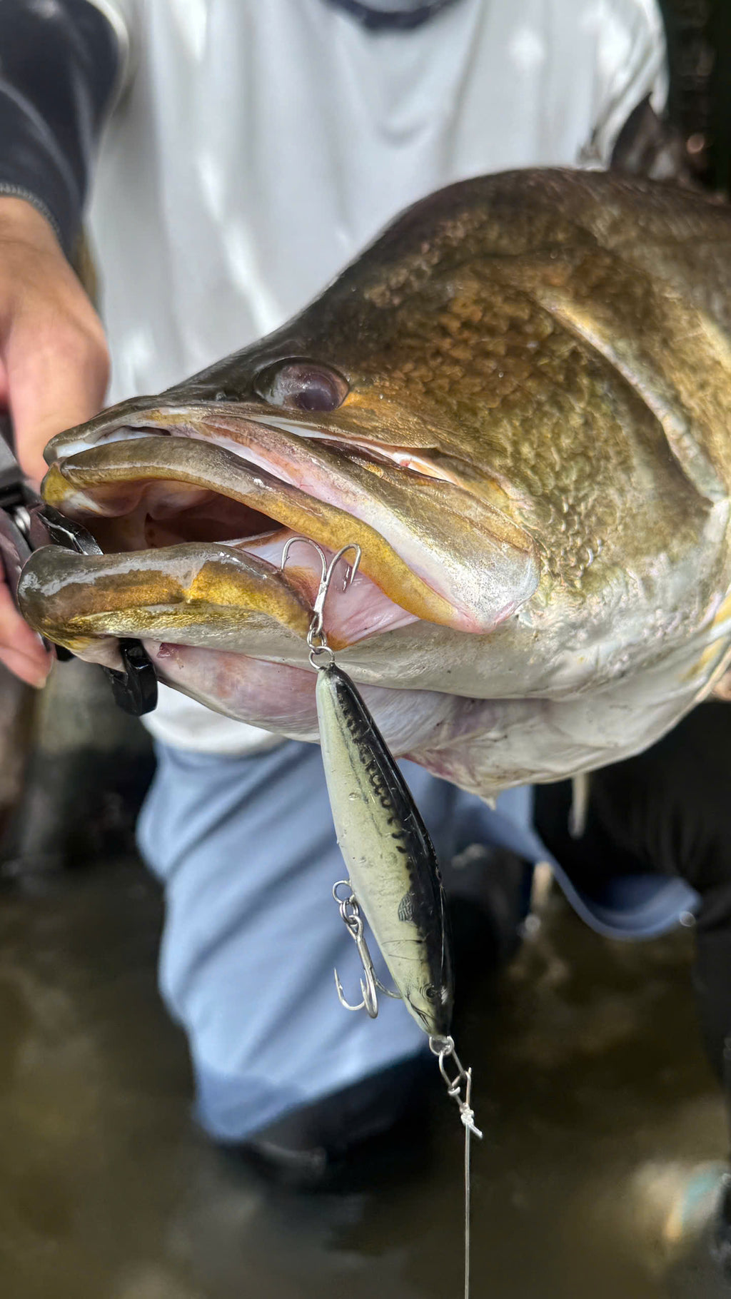 Makerel 75 – GeDa Handcrafted Lure | Sinking Shad