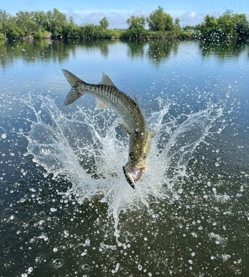 Makerel 75 – GeDa Handcrafted Lure | Sinking Shad