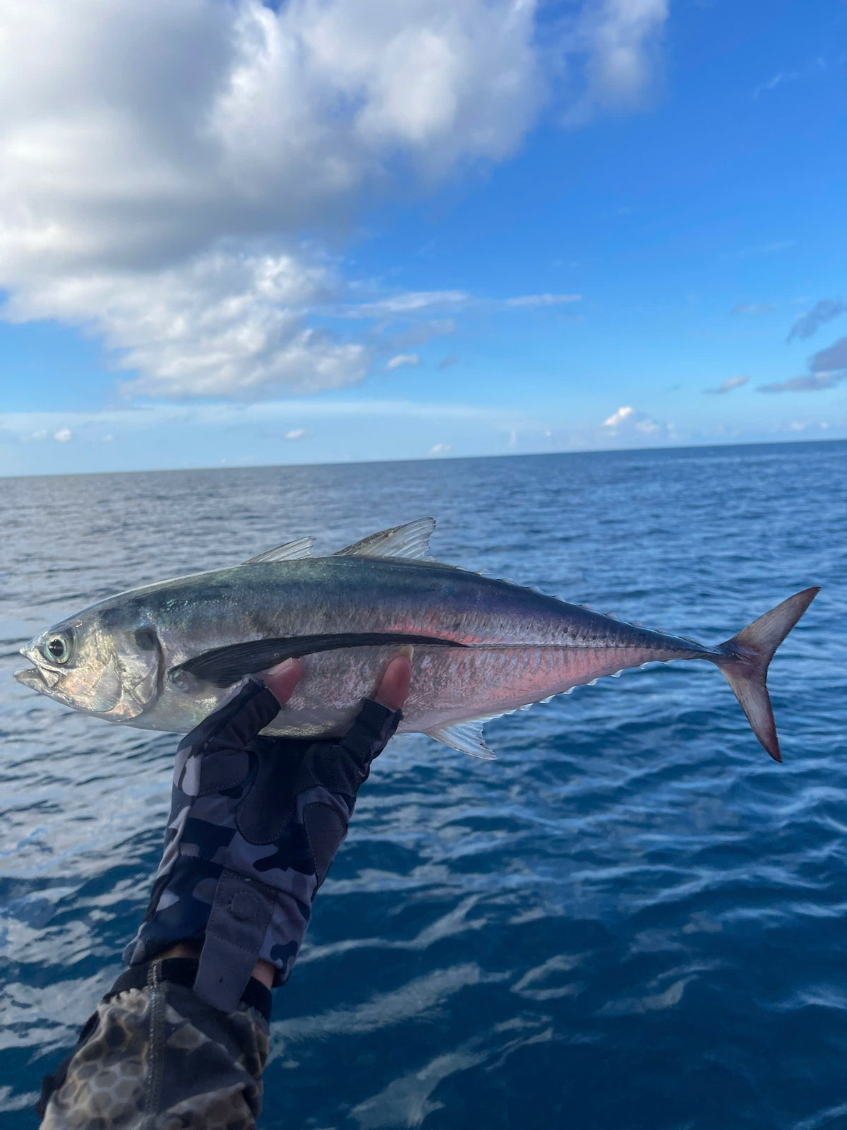 Con Dao Offshore Fishing Trip – Vietnam Island Adventure