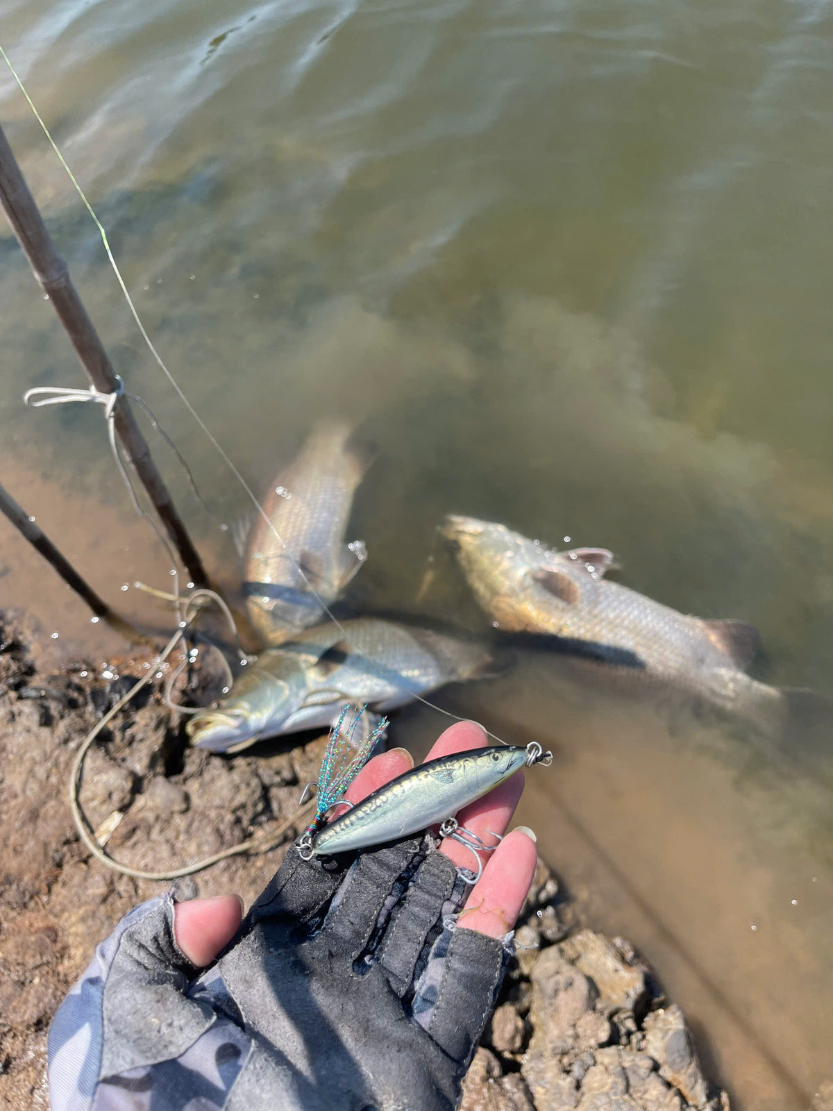 Vietnam Barramundi Fishing Tour – Ho Chi Minh City | Anh 3 GeDa