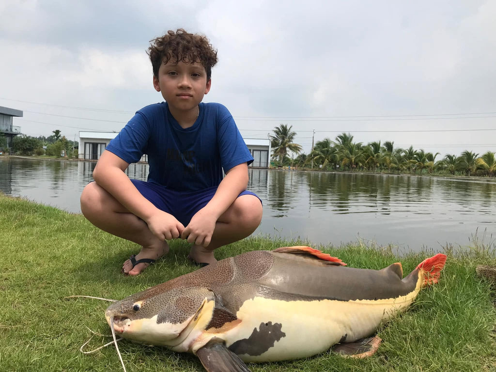 Fishing Trip / Tour (Giant Freshwater Fishing in Vietnam)