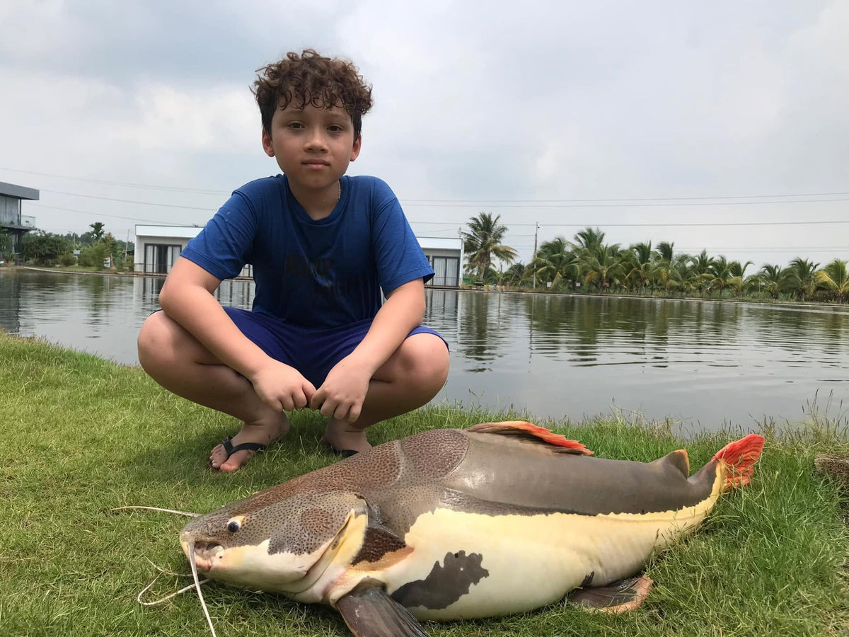 Fishing Trip / Tour (Giant Freshwater Fishing in Vietnam)