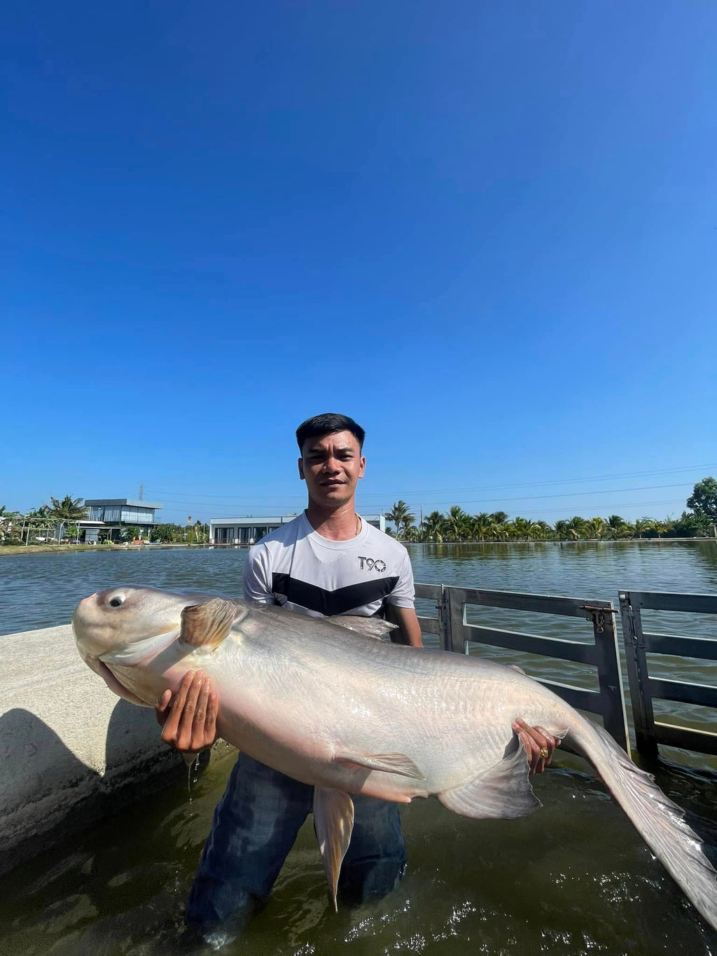 Fishing Trip / Tour (Giant Freshwater Fishing in Vietnam)