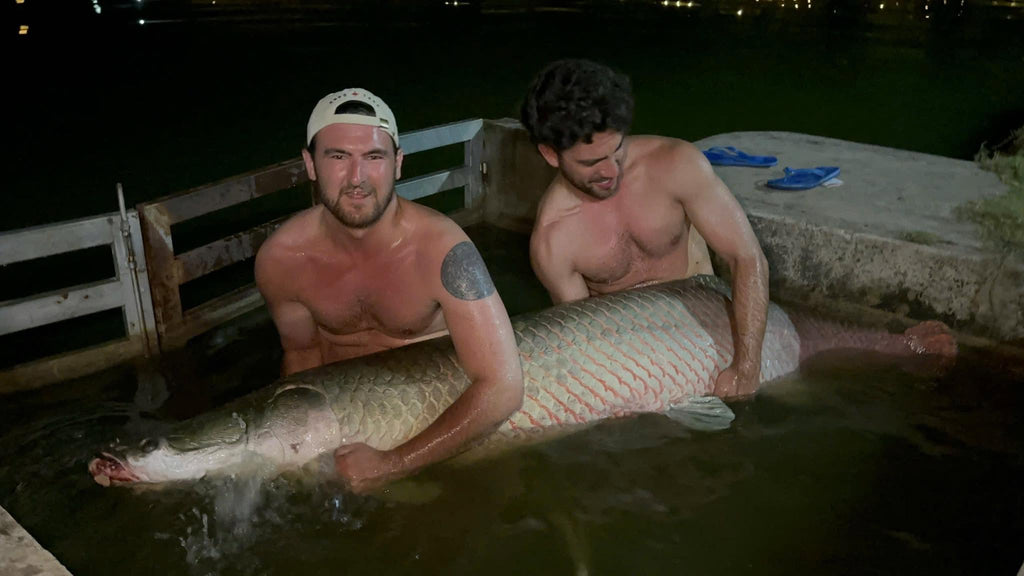 Fishing Trip / Tour (Giant Freshwater Fishing in Vietnam)