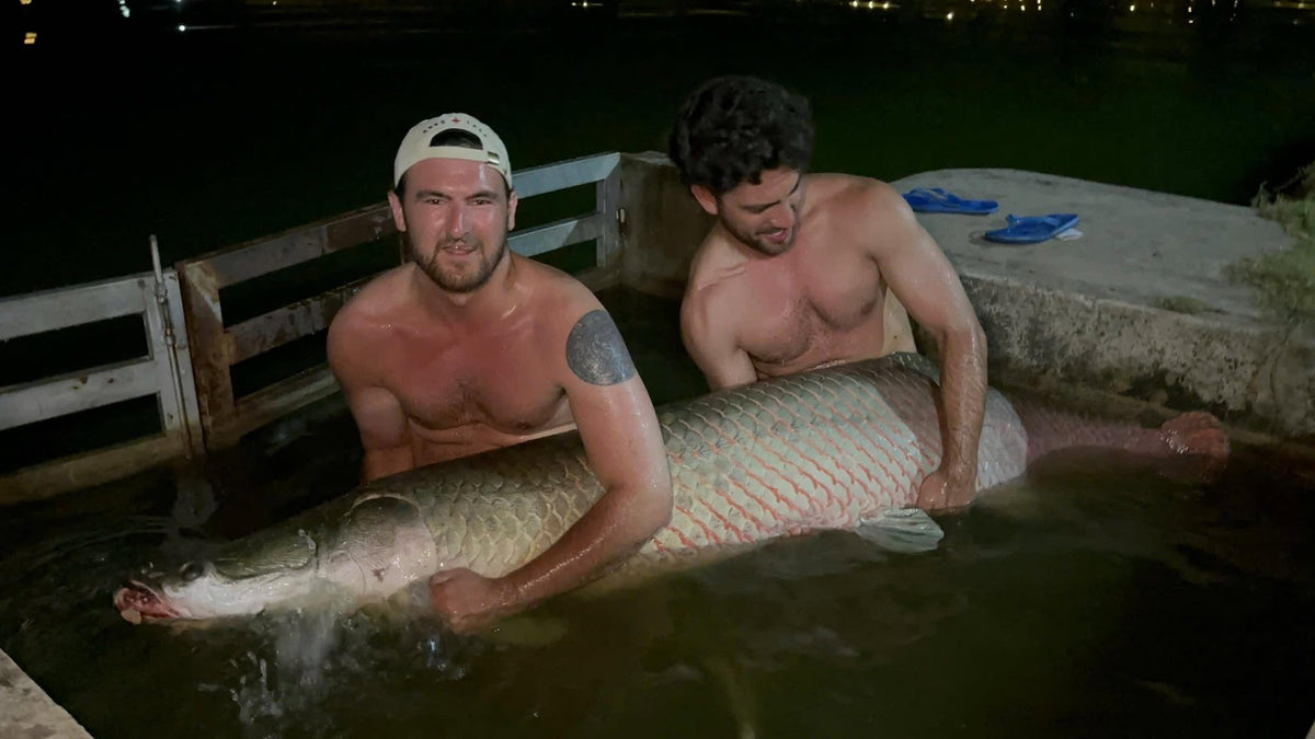 Fishing Trip / Tour (Giant Freshwater Fishing in Vietnam)