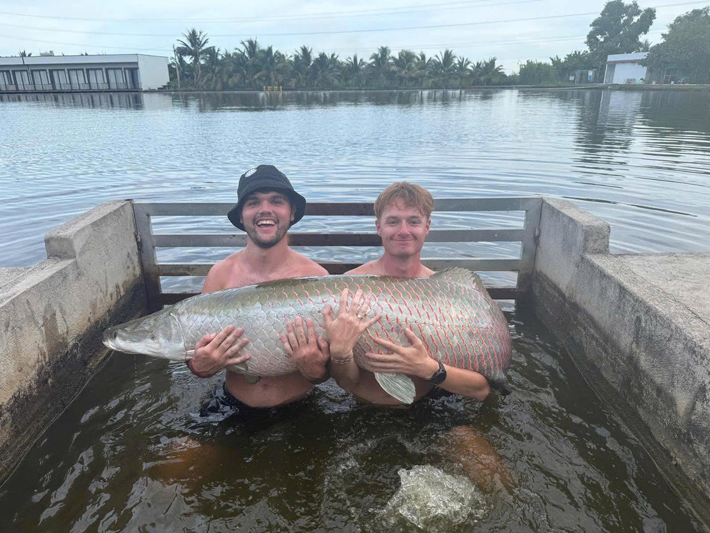 Fishing Trip / Tour (Giant Freshwater Fishing in Vietnam)