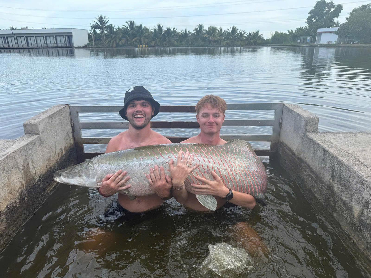 Fishing Trip / Tour (Giant Freshwater Fishing in Vietnam)